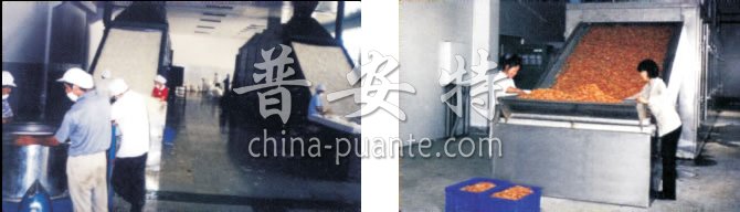 DW多层带式干燥机