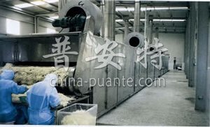 DWC系列脱水蔬菜带式干燥机