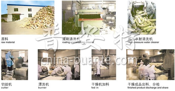 DWC系列脱水蔬菜带式干燥机